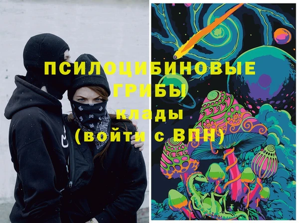 прущий лед Липки