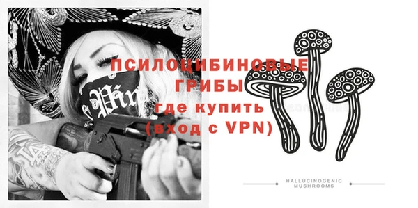 прущий лед Липки